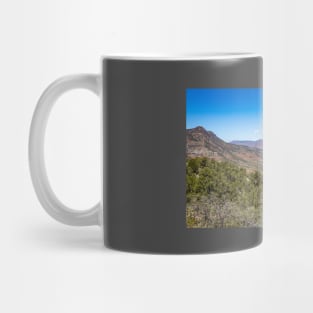 Salt River Canyon Wilderness Mug